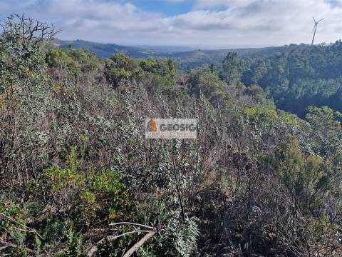 Quinta  Venda em Santa Clara-a-Nova e Gomes Aires,Almodôvar