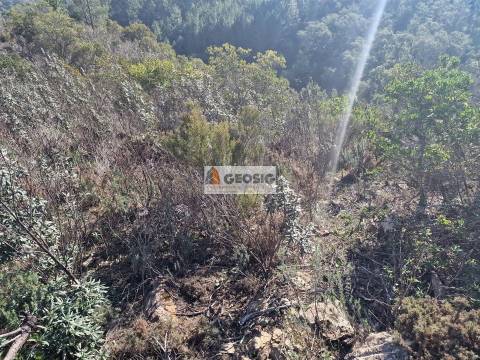 Quinta  Venda em Santa Clara-a-Nova e Gomes Aires,Almodôvar