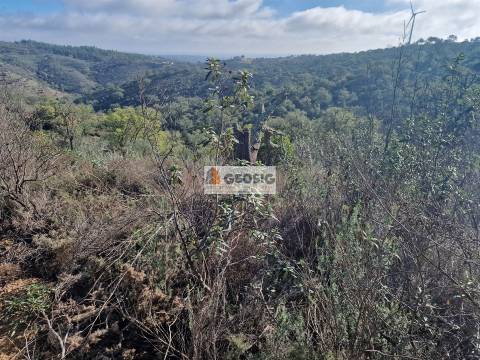Quinta  Venda em Santa Clara-a-Nova e Gomes Aires,Almodôvar