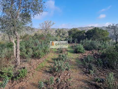 Quinta  Venda em Santa Clara-a-Nova e Gomes Aires,Almodôvar