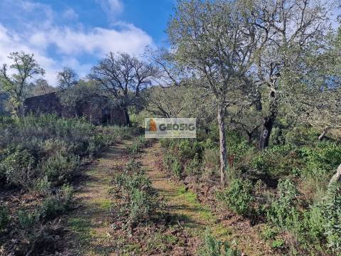 Quinta  Venda em Santa Clara-a-Nova e Gomes Aires,Almodôvar