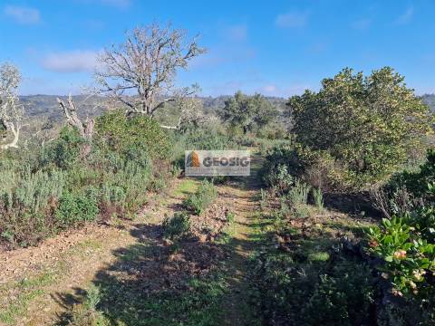 Quinta  Venda em Santa Clara-a-Nova e Gomes Aires,Almodôvar