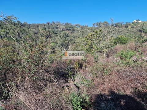 Quinta  Venda em Santa Clara-a-Nova e Gomes Aires,Almodôvar