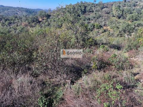 Quinta  Venda em Santa Clara-a-Nova e Gomes Aires,Almodôvar