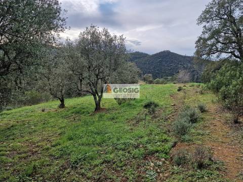 Quintinha T2 Venda em São Barnabé,Almodôvar