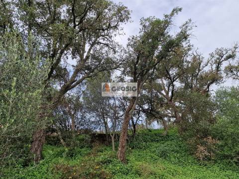 Quintinha T2 Venda em São Barnabé,Almodôvar