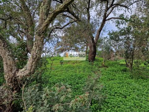 Quintinha T2 Venda em São Barnabé,Almodôvar