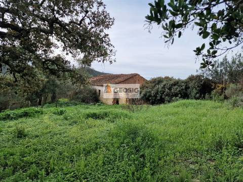 Quintinha T2 Venda em São Barnabé,Almodôvar