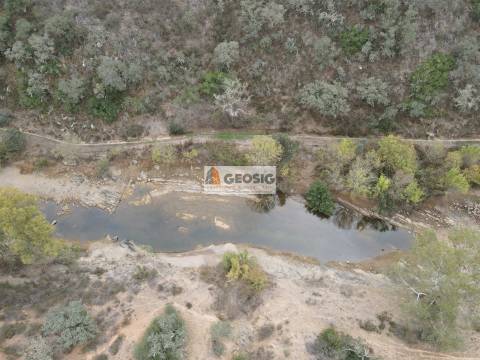 Terreno Rústico  Venda em Ourique,Ourique