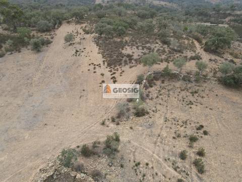 Terreno Rústico  Venda em Ourique,Ourique
