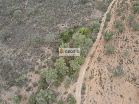 Terreno Rústico  Venda em Ourique,Ourique