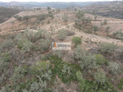 Terreno Rústico  Venda em Ourique,Ourique