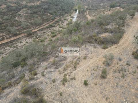 Terreno Rústico  Venda em Ourique,Ourique