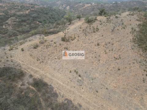 Terreno Rústico  Venda em Ourique,Ourique