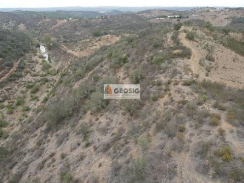 Terreno Rústico  Venda em Ourique,Ourique