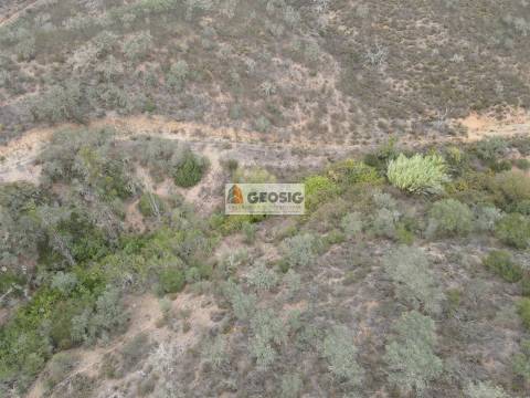 Terreno Rústico  Venda em Ourique,Ourique