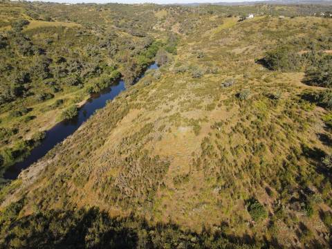 Terreno Rústico  Venda em Ourique,Ourique