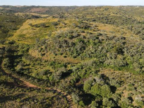 Terreno Rústico  Venda em Ourique,Ourique