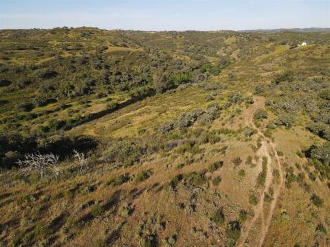 Terreno Rústico  Venda em Ourique,Ourique