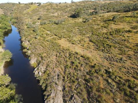 Terreno Rústico  Venda em Ourique,Ourique