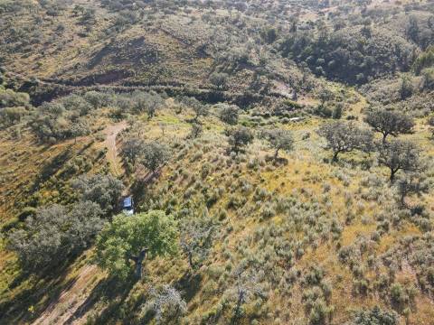 Terreno Rústico  Venda em Ourique,Ourique