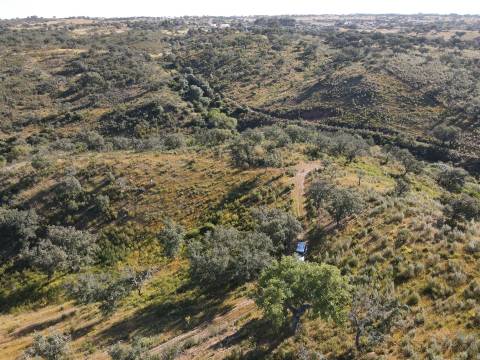 Terreno Rústico  Venda em Ourique,Ourique
