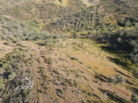 Terreno Rústico  Venda em Ourique,Ourique