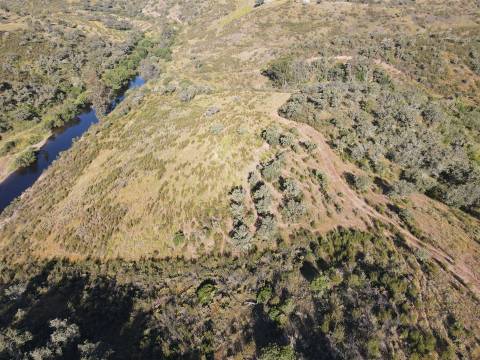 Terreno Rústico  Venda em Ourique,Ourique