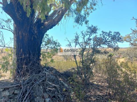 Quintinha T1 Venda em Santa Clara-a-Nova e Gomes Aires,Almodôvar