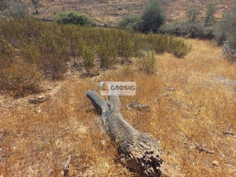 Quintinha T1 Venda em Santa Clara-a-Nova e Gomes Aires,Almodôvar