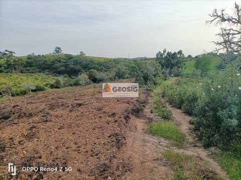 Quintinha T1 Venda em Santa Clara-a-Nova e Gomes Aires,Almodôvar