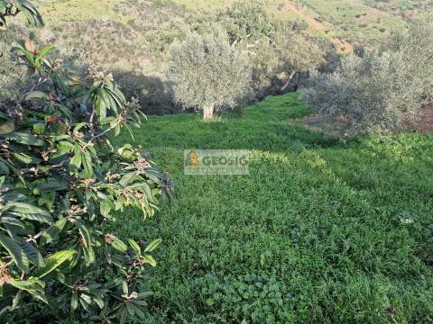 Moradia T2 Venda em Santa Cruz,Almodôvar