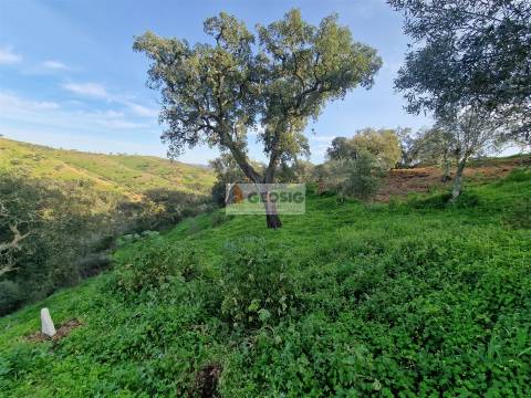 Moradia T2 Venda em Santa Cruz,Almodôvar