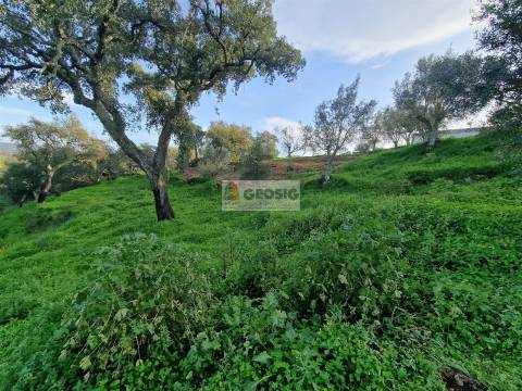 Moradia T2 Venda em Santa Cruz,Almodôvar