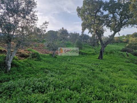 Moradia T2 Venda em Santa Cruz,Almodôvar