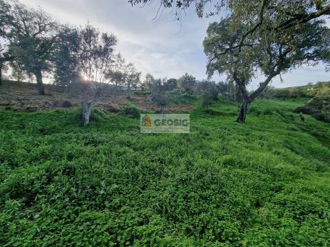 Moradia T2 Venda em Santa Cruz,Almodôvar