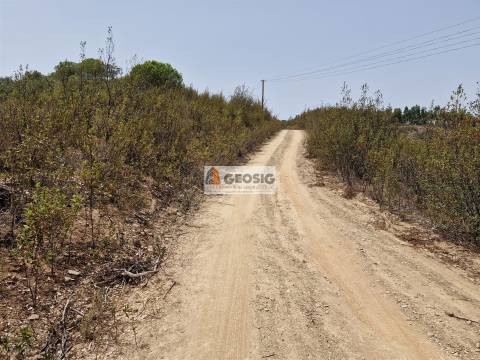 Herdade T3 Venda em São Martinho das Amoreiras,Odemira