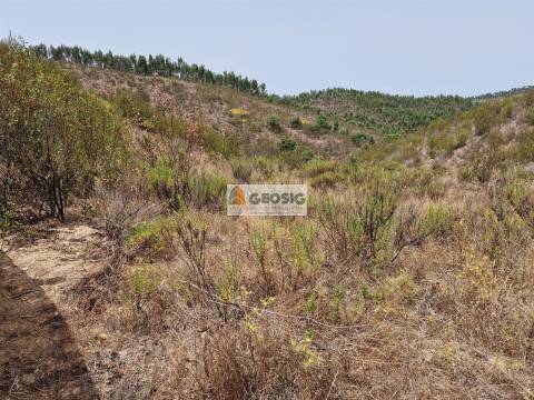 Herdade T3 Venda em São Martinho das Amoreiras,Odemira