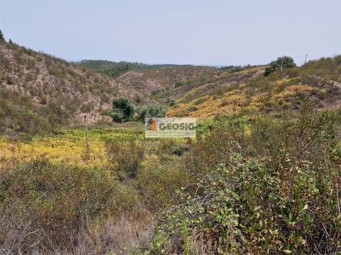 Herdade T3 Venda em São Martinho das Amoreiras,Odemira