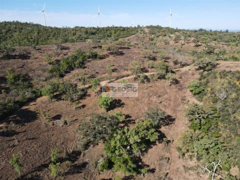 Terreno Rústico  Venda em Almodôvar e Graça dos Padrões,Almodôvar