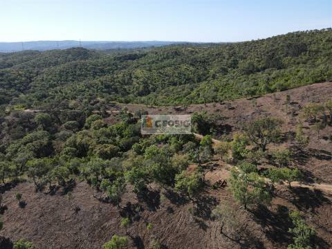 Terreno Rústico  Venda em Almodôvar e Graça dos Padrões,Almodôvar