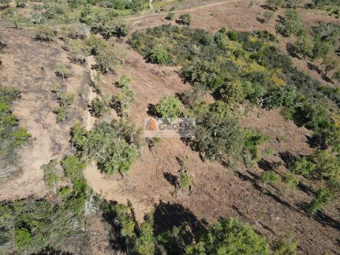 Terreno Rústico  Venda em Almodôvar e Graça dos Padrões,Almodôvar