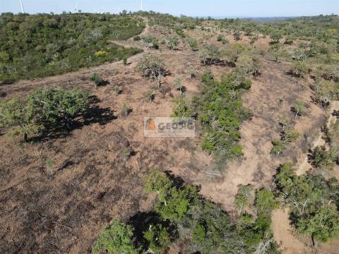 Terreno Rústico  Venda em Almodôvar e Graça dos Padrões,Almodôvar