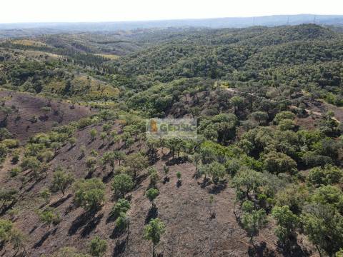 Terreno Rústico  Venda em Almodôvar e Graça dos Padrões,Almodôvar
