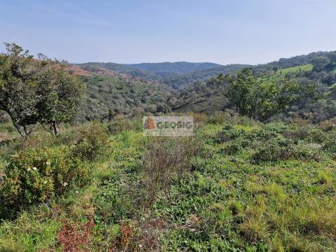 Quintinha T2 Venda em Santa Clara-a-Nova e Gomes Aires,Almodôvar