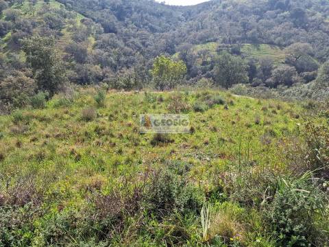 Quintinha T2 Venda em Santa Clara-a-Nova e Gomes Aires,Almodôvar
