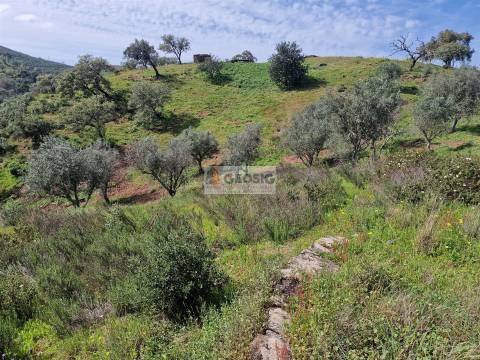 Quintinha T2 Venda em Santa Clara-a-Nova e Gomes Aires,Almodôvar