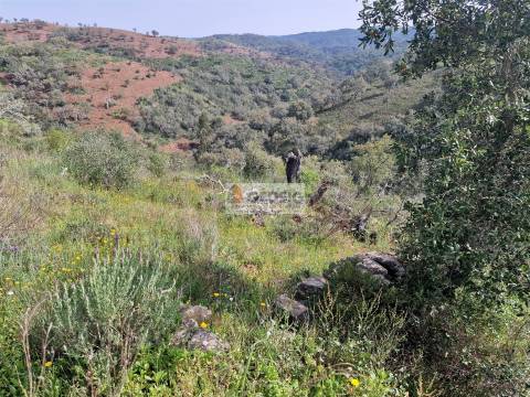 Quintinha T2 Venda em Santa Clara-a-Nova e Gomes Aires,Almodôvar