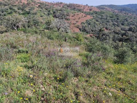 Quintinha T2 Venda em Santa Clara-a-Nova e Gomes Aires,Almodôvar