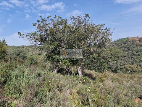 Quintinha T2 Venda em Santa Clara-a-Nova e Gomes Aires,Almodôvar